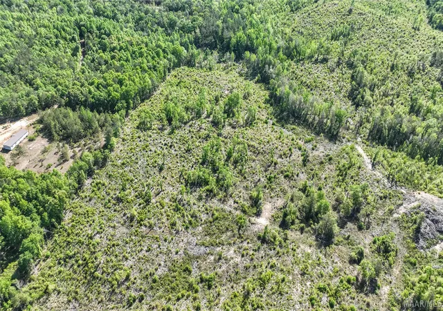 2nd image of 1 County Road 6, Prattville, AL 36067 | MLS# 588831