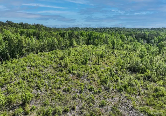5th image of 1 County Road 6, Prattville, AL 36067 | MLS# 588831
