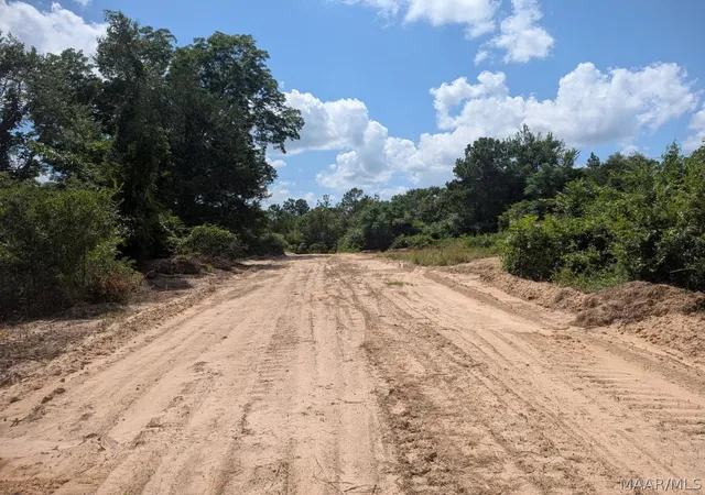 3rd image of 0 County Road 6, Prattville, AL 36067 | MLS# 588832