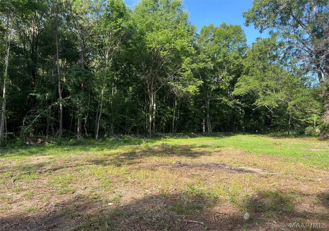 4th image of 16916 Vaughn Rd, Cecil, AL 36013 | MLS# 588824