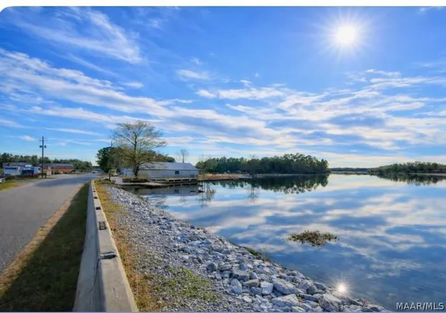14th image of 261 Sand Island Dr, Camden, AL 36726 | MLS# 588922