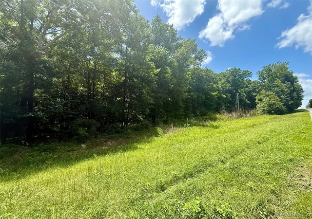 1st image of 0 Hwy 14 W, Autaugaville, AL 36003 | MLS# 588933
