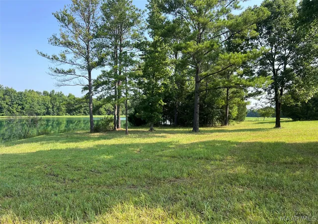11th image of Lot 1 Leahmon Ln, Mathews, AL 36052 | MLS# 588991
