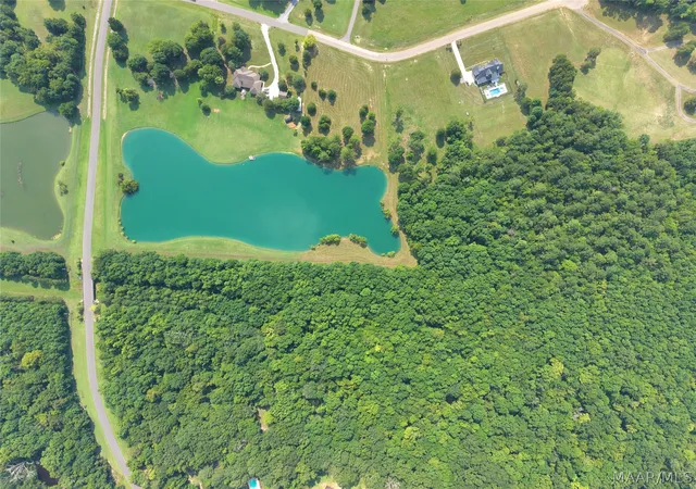 3rd image of Lot 1 Leahmon Ln, Mathews, AL 36052 | MLS# 588991