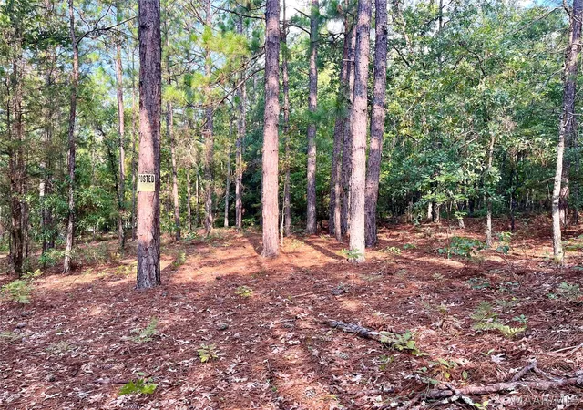 1st image of 1035 Indian Pines Rd, Wetumpka, AL 36093 | MLS# 589104