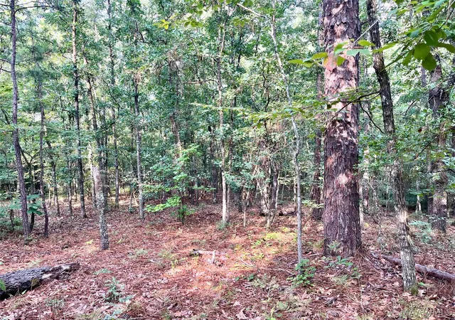 Photo 3 of Land for sale at 1035 Indian Pines Rd, Wetumpka, AL 36093 | MLS# 589104 | Listing updated on 2026-08-28