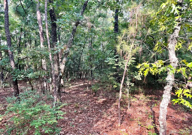 Photo 4 of Land for sale at 1035 Indian Pines Rd, Wetumpka, AL 36093 | MLS# 589104 | Listing updated on 2026-08-28