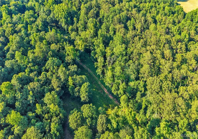 7th image of 1 Burt Mill Rd, Tallassee, AL 36078 | MLS# 589160