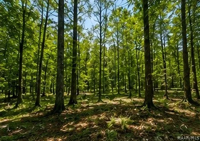 Photo 3 of Land for sale at 14 Legacy Shrs Dr, Alberta, AL 36720 | MLS# 589315 | Listing updated on 2026-09-16