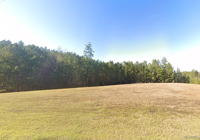 Photo 2 of Land for sale at 0 Sipsey Overlook Rd, Double Springs, AL 35553 | MLS# 589314 | Listing updated on 2026-08-28