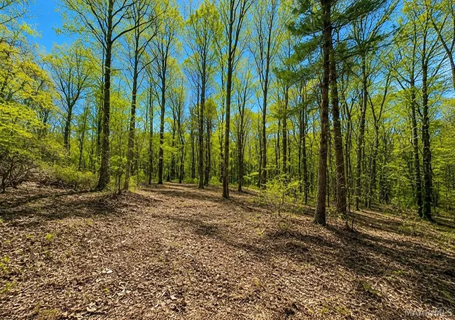 1st image of 3628 Walker Chapel Rd, Fultondale, AL 35068 | MLS# 589312