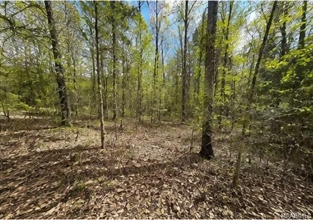 Photo 3 of Land for sale at 3628 Walker Chapel Rd, Fultondale, AL 35068 | MLS# 589312 | Listing updated on 2026-08-28
