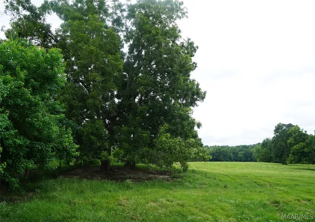 Land for sale at 2 Underwood Rd, Montgomery, AL 36105 | MLS# 589345