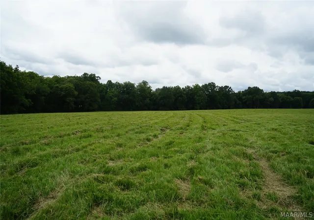 Photo 2 of Land for sale at 2 Underwood Rd, Montgomery, AL 36105 | MLS# 589345 | Listing updated on 2026-08-28