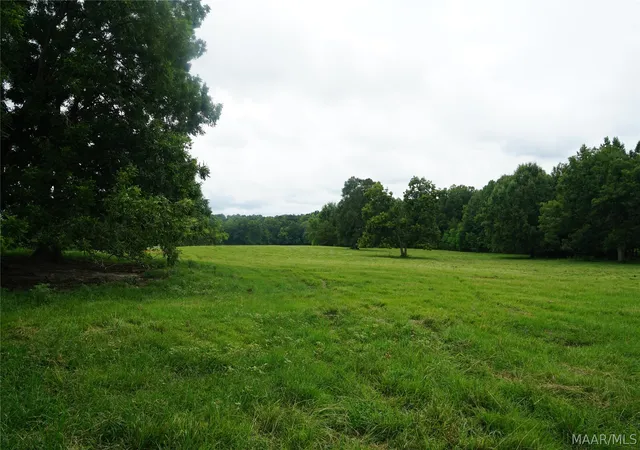 Photo 4 of Land for sale at 2 Underwood Rd, Montgomery, AL 36105 | MLS# 589345 | Listing updated on 2026-08-28