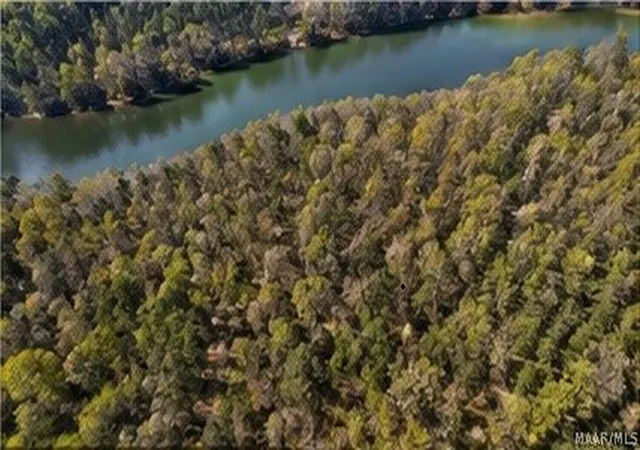 Photo 2 of Land for sale at 1 County Rd 18, Double Springs, AL 35553 | MLS# 589458 | Listing updated on 2026-08-28