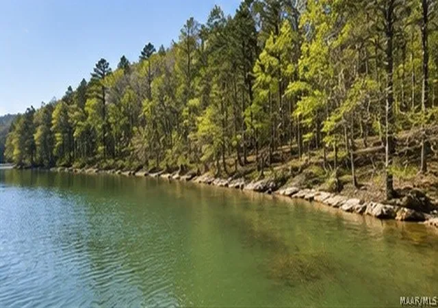 Photo 3 of Land for sale at 1 County Rd 18, Double Springs, AL 35553 | MLS# 589458 | Listing updated on 2026-08-28