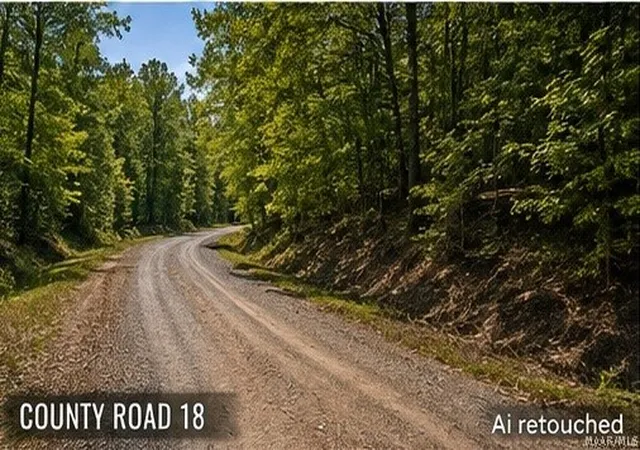 Photo 5 of Land for sale at 1 County Rd 18, Double Springs, AL 35553 | MLS# 589458 | Listing updated on 2026-08-28