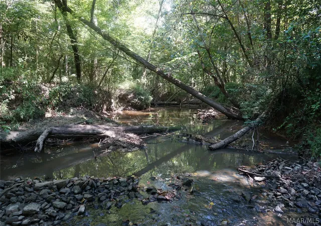 32nd image of 4800 Old Carter Hill Rd, Pike Road, AL 36064 | MLS# 589519