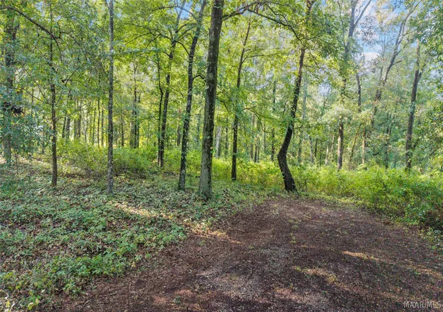 2nd image of 1525 Monfee Rd, Prattville, AL 36067 | MLS# 589540