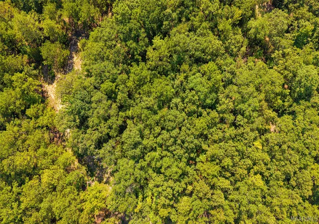10th image of 1988 County Road 19 N, Prattville, AL 36067 | MLS# 589635