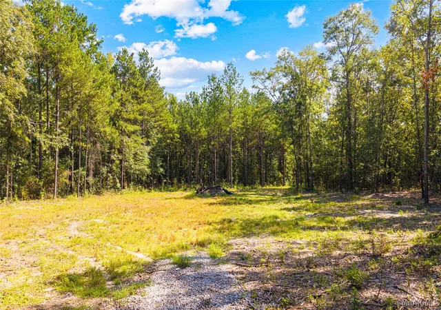 2nd image of 1988 County Road 19 N, Prattville, AL 36067 | MLS# 589635