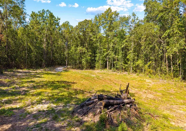 3rd image of 1988 County Road 19 N, Prattville, AL 36067 | MLS# 589635