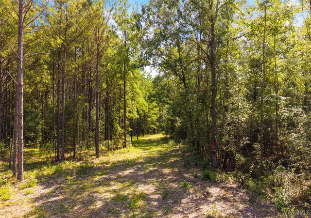 4th image of 1988 County Road 19 N, Prattville, AL 36067 | MLS# 589635