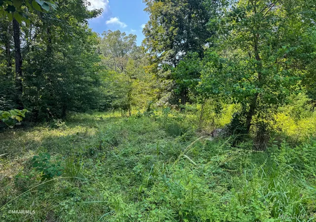 5th image of Lot 38 River Oaks Landing Cir, Orrville, AL 36767 | MLS# 589557