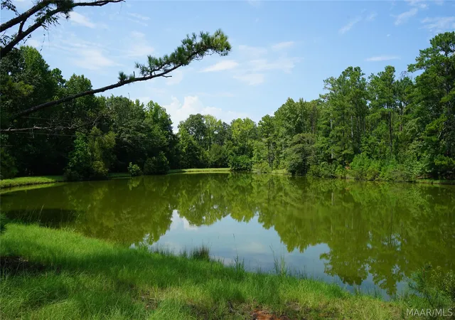 Land for sale at 22246 Lapine Hwy, Lapine, AL 36046 | MLS# 589871