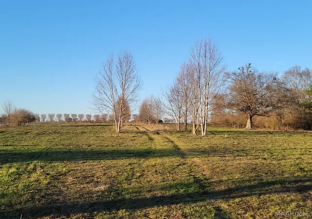 2nd image of 2091 County Road 13 Road, Clanton, AL 35045 | MLS# 589912