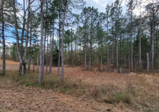13th image of 0 County Road 15 Road, Maplesville, AL 36750 | MLS# 589911