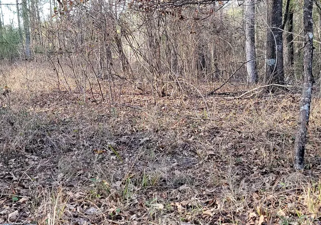 4th image of 0 County Road 15 Road, Maplesville, AL 36750 | MLS# 589911