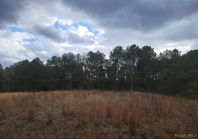 14th image of 00 County Road 15 Road, Maplesville, AL 36750 | MLS# 590007