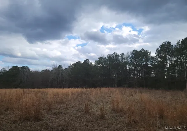 1st image of 00 County Road 15 Road, Maplesville, AL 36750 | MLS# 590007