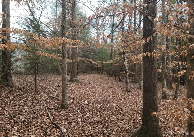 2nd image of 00 County Road 15 Road, Maplesville, AL 36750 | MLS# 590007