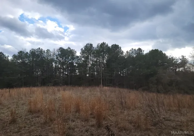 3rd image of 00 County Road 15 Road, Maplesville, AL 36750 | MLS# 590007