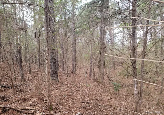4th image of 00 County Road 15 Road, Maplesville, AL 36750 | MLS# 590007