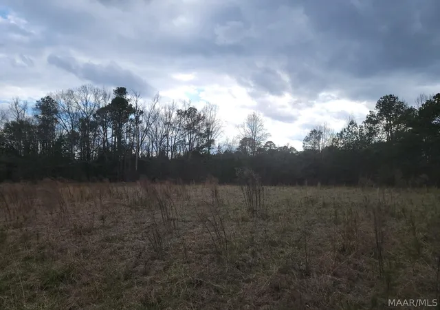 5th image of 00 County Road 15 Road, Maplesville, AL 36750 | MLS# 590007