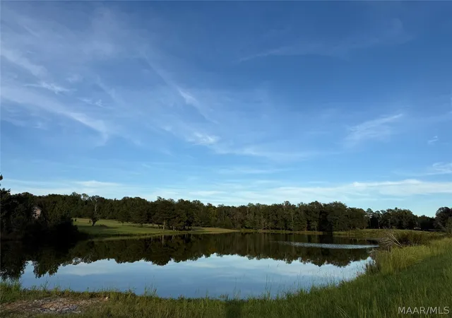 Photo 1 of Land for sale at Lot 4 Chesson Ct, Fitzpatrick, AL 36029 | MLS# 590271 | Listing updated on 2026-09-27