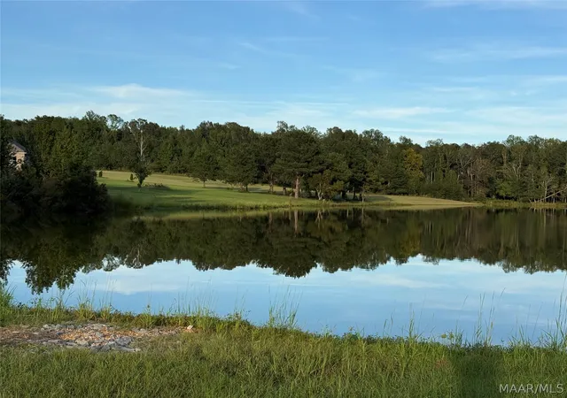 Photo 2 of Land for sale at Lot 4 Chesson Ct, Fitzpatrick, AL 36029 | MLS# 590271 | Listing updated on 2026-09-27