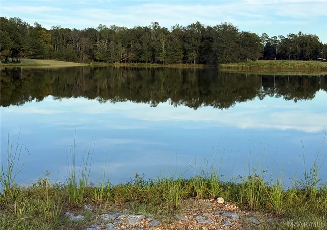 Photo 3 of Land for sale at Lot 4 Chesson Ct, Fitzpatrick, AL 36029 | MLS# 590271 | Listing updated on 2026-09-27