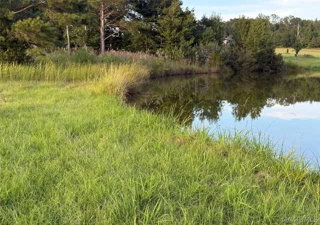 Photo 3 of Land for sale at Lot 4 Chesson Ct, Fitzpatrick, AL 36029 | MLS# 590271 | Listing updated on 2026-09-27