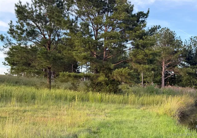 Photo 4 of Land for sale at Lot 4 Chesson Ct, Fitzpatrick, AL 36029 | MLS# 590271 | Listing updated on 2026-09-27