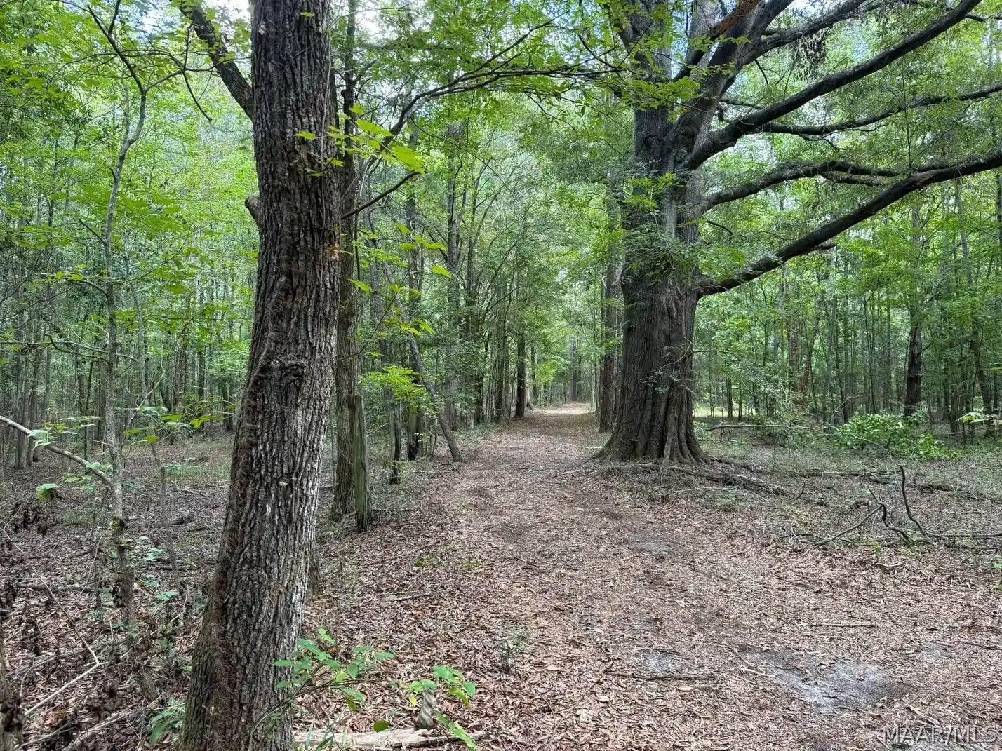 Photo 1 of Land for sale at 00 County Rd 4, Fitzpatrick, AL 36029 | MLS# 590491 | Listing updated on 2026-10-21