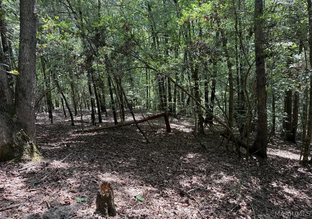 Photo 14 of Land for sale at 00 County Rd 79, Billingsley, AL 36006 | MLS# 590492 | Listing updated on 2026-09-15