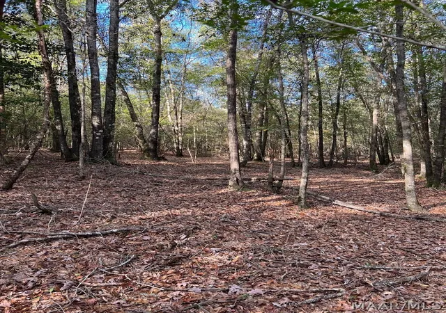 Photo 1 of Land for sale at 00 County Rd 79, Billingsley, AL 36006 | MLS# 590492 | Listing updated on 2026-09-15