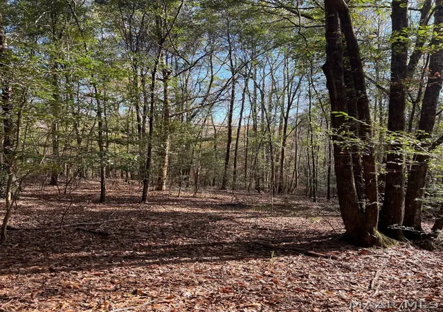 Photo 2 of Land for sale at 00 County Rd 79, Billingsley, AL 36006 | MLS# 590492 | Listing updated on 2026-09-15