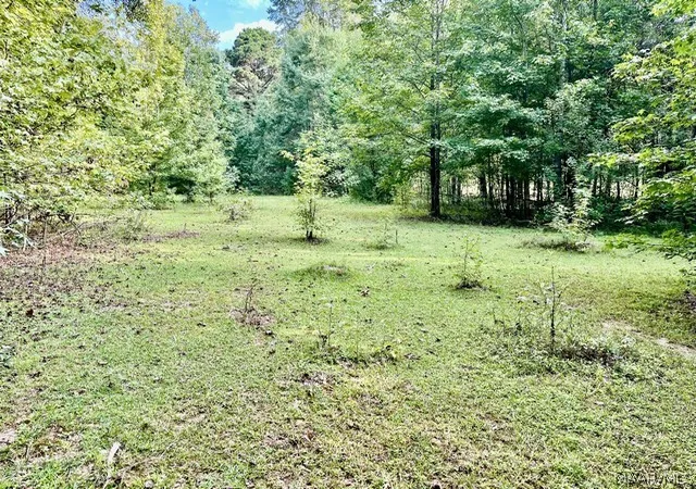 Land for sale at 1 Mt Hebron Rd, Eclectic, AL 36024 | MLS# 590537