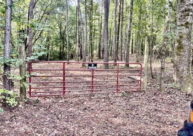 Photo 2 of Land for sale at 1 Mt Hebron Rd, Eclectic, AL 36024 | MLS# 590537 | Listing updated on 2026-09-17